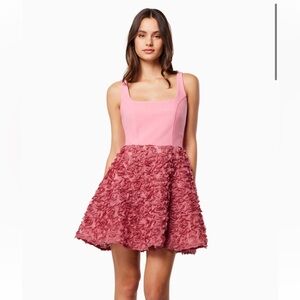 Elliatt Admiration Dress